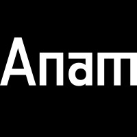 Anam.ai logo