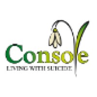 Console logo