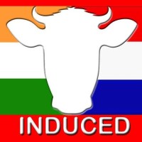 Induced logo