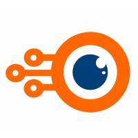 NetraSemi logo