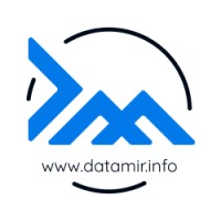 Datamir Logo