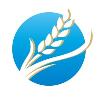 Kinish logo