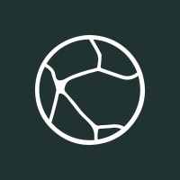 Kintsugi logo