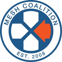 Mesh Logo