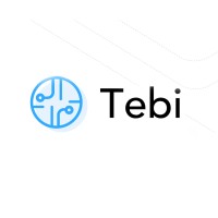 Tebi Logo