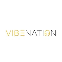VibeNation logo