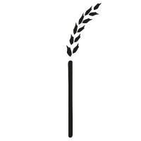 staramaki Logo